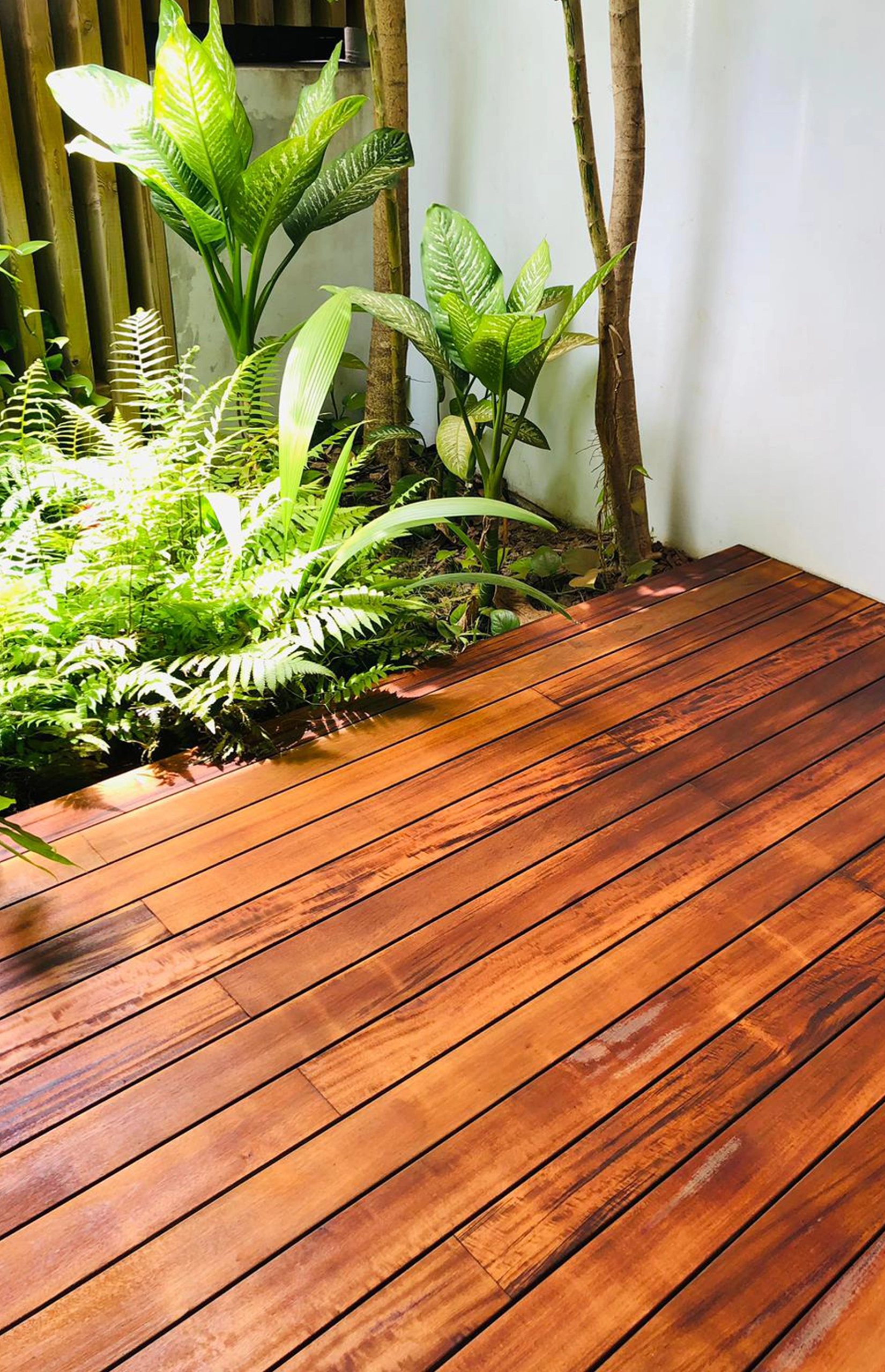 MUIRACATIARA pic one