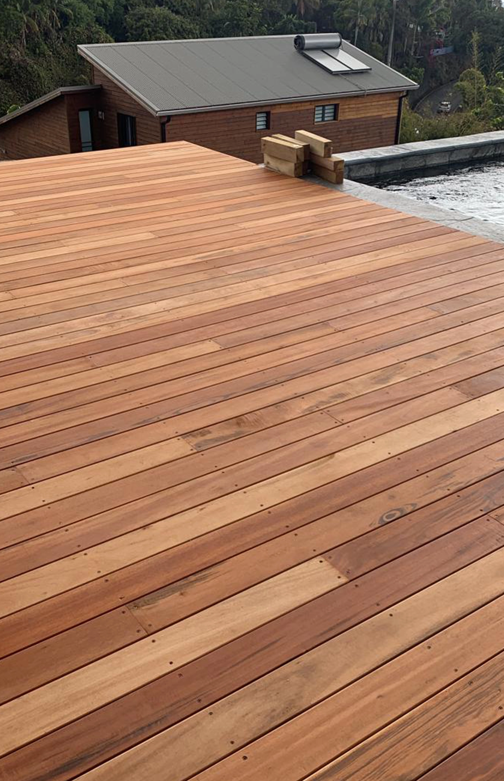 MUIRACATIARA pic two